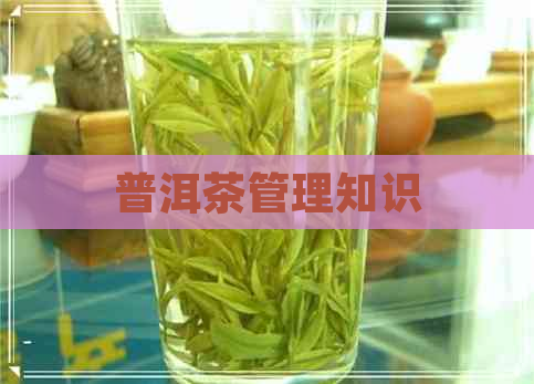 普洱茶管理知识