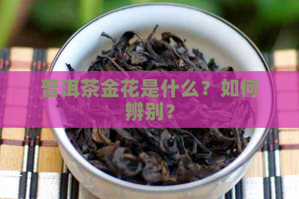 普洱茶金花是什么？如何辨别？