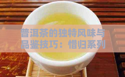 普洱茶的独特风味与品鉴技巧：惜归系列的魅力所在