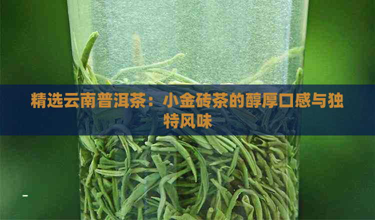 精选云南普洱茶：小金砖茶的醇厚口感与独特风味