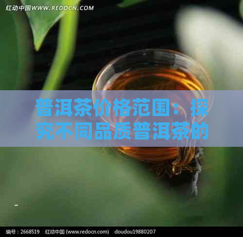 普洱茶价格范围：探究不同品质普洱茶的定价标准与影响因素