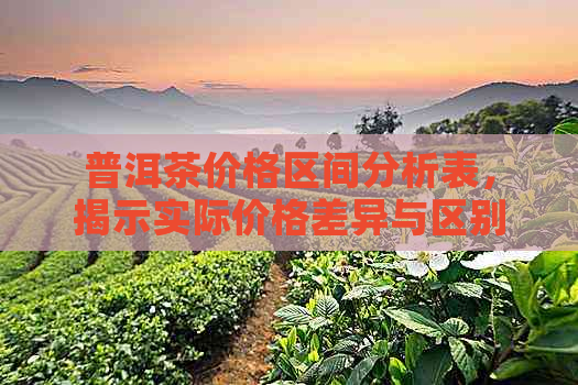 普洱茶价格区间分析表，揭示实际价格差异与区别