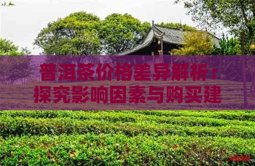 普洱茶价格差异解析：探究影响因素与购买建议