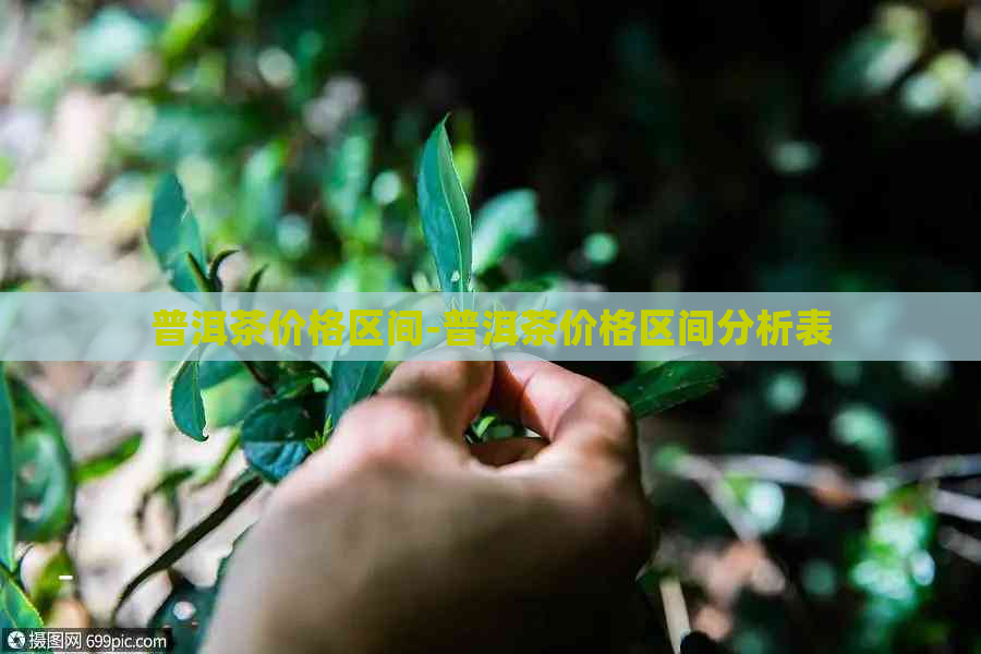 普洱茶价格区间-普洱茶价格区间分析表