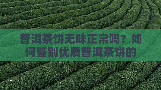 普洱茶饼无味正常吗？如何鉴别优质普洱茶饼的口感？