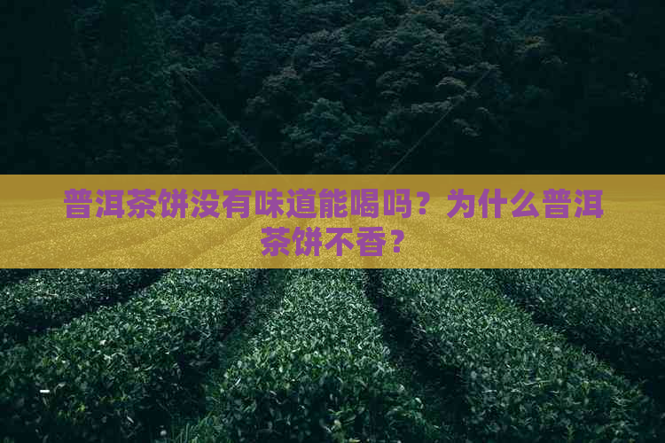 普洱茶饼没有味道能喝吗？为什么普洱茶饼不香？