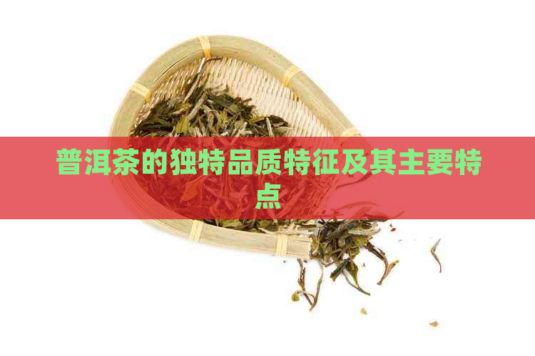 普洱茶的独特品质特征及其主要特点