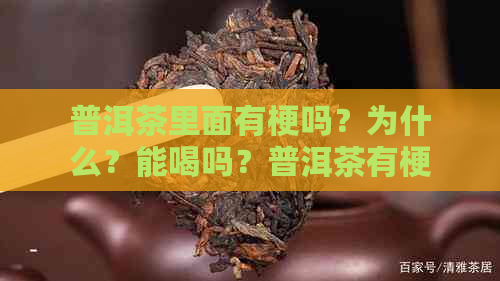 普洱茶里面有梗吗？为什么？能喝吗？普洱茶有梗是好还是不好？