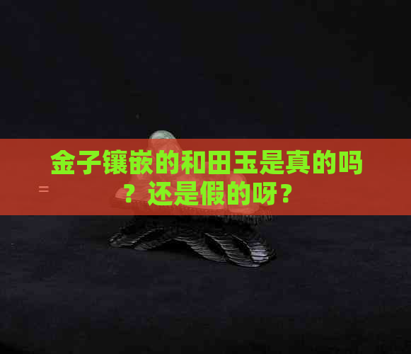 金子镶嵌的和田玉是真的吗？还是假的呀？