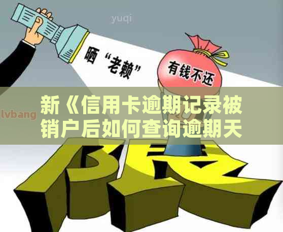 新《信用卡逾期记录被销户后如何查询逾期天数及相关解决办法》