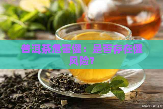 普洱茶危害健：是否存在健风险？