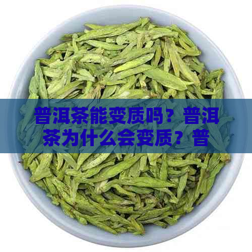 普洱茶能变质吗？普洱茶为什么会变质？普洱茶能坏吗？为什么普洱茶会变质？