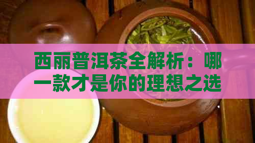 西丽普洱茶全解析：哪一款才是你的理想之选？