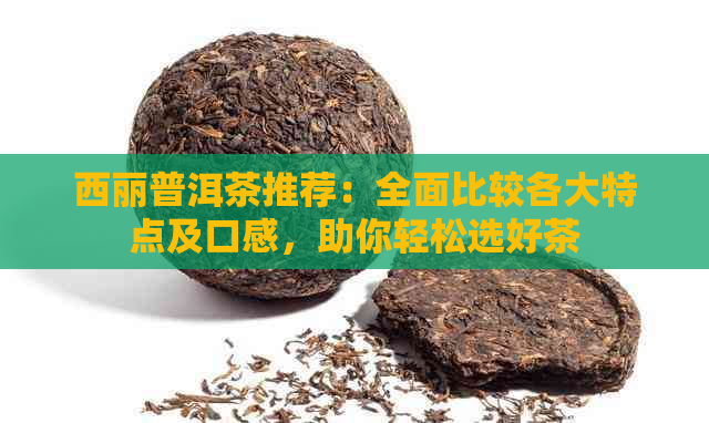 西丽普洱茶推荐：全面比较各大特点及口感，助你轻松选好茶