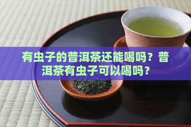 有虫子的普洱茶还能喝吗？普洱茶有虫子可以喝吗？