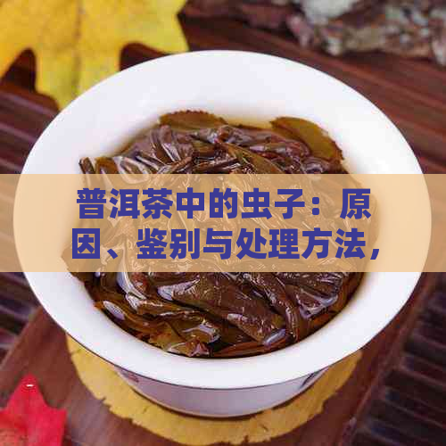 普洱茶中的虫子：原因、鉴别与处理方法，如何避免饮用含有虫子的普洱茶？