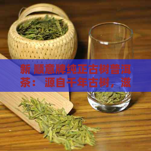 新 顺意牌纯正古树普洱茶： 源自千年古树，滋味醇厚的深度享受