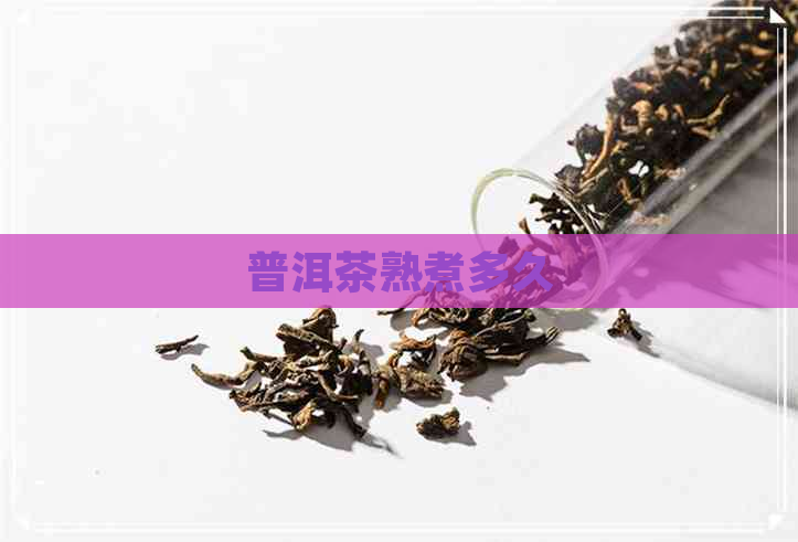 普洱茶熟煮多久