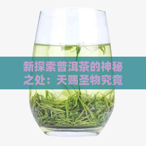 新探索普洱茶的神秘之处：天赐圣物究竟是什么？