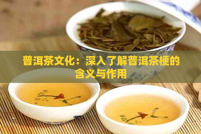 普洱茶文化：深入了解普洱茶梗的含义与作用