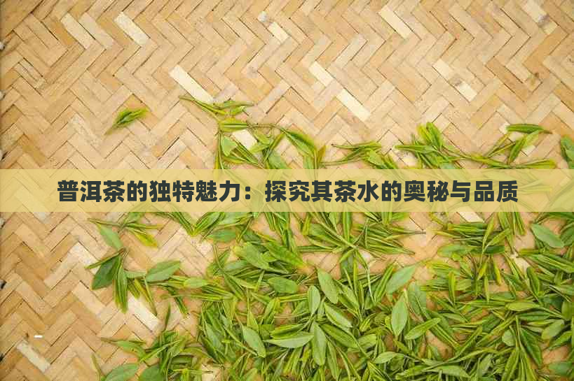 普洱茶的独特魅力：探究其茶水的奥秘与品质