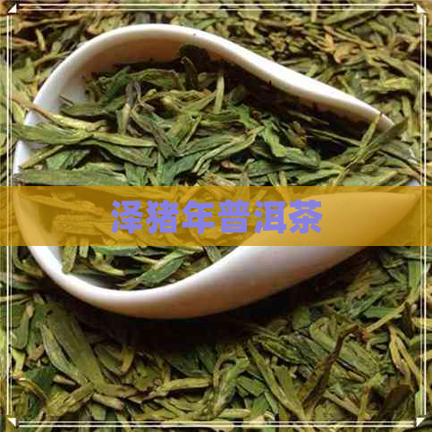 泽猪年普洱茶