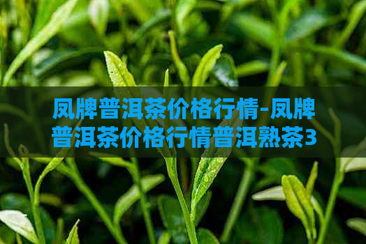 凤牌普洱茶价格行情-凤牌普洱茶价格行情普洱熟茶357克价格