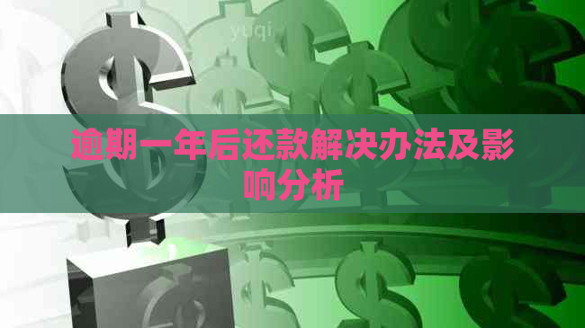 逾期一年后还款解决办法及影响分析