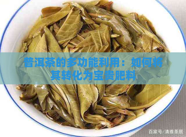 普洱茶的多功能利用：如何将其转化为宝贵肥料