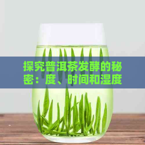 探究普洱茶发酵的秘密：度、时间和湿度如何影响其品质？