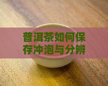 普洱茶如何保存冲泡与分辨好坏，完整指南