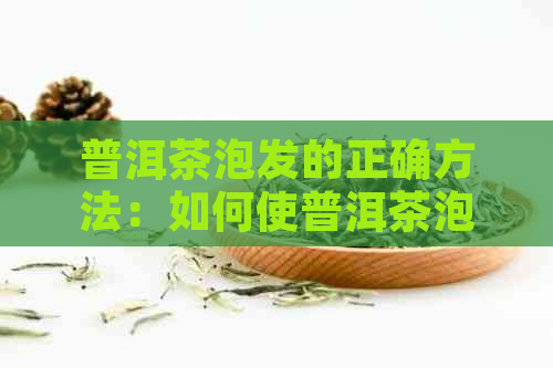 普洱茶泡发的正确方法：如何使普洱茶泡发出效果，掌握这些技巧就对了！