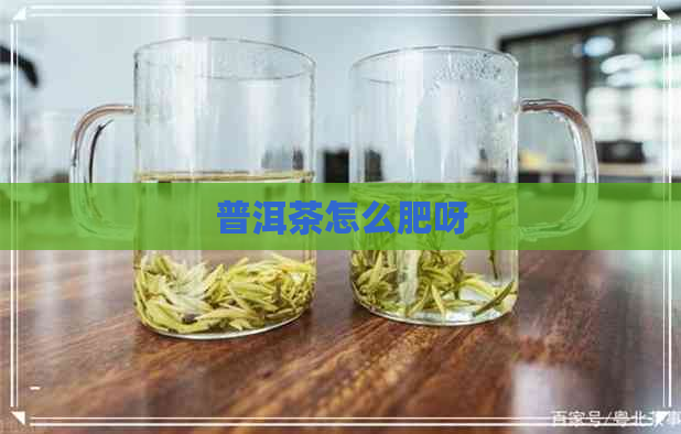 普洱茶怎么肥呀