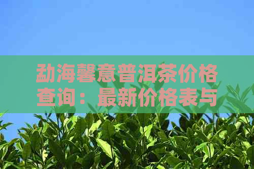 勐海馨意普洱茶价格查询：最新价格表与市场价一览