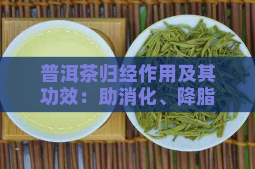 普洱茶归经作用及其功效：助消化、降脂减肥等