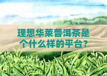 理想华莱普洱茶是个什么样的平台？正规吗？