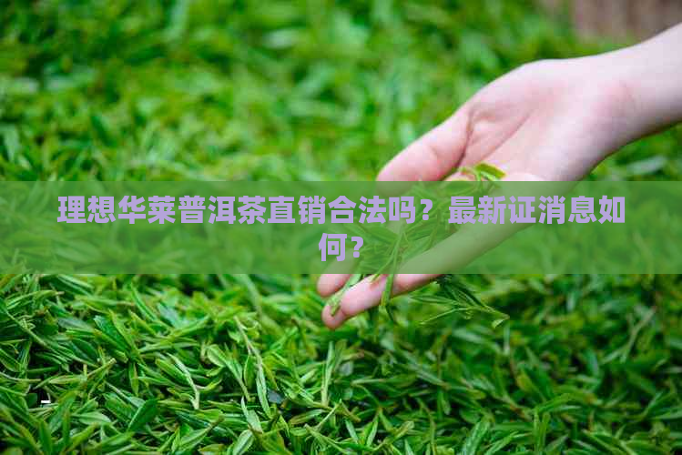 理想华莱普洱茶直销合法吗？最新证消息如何？