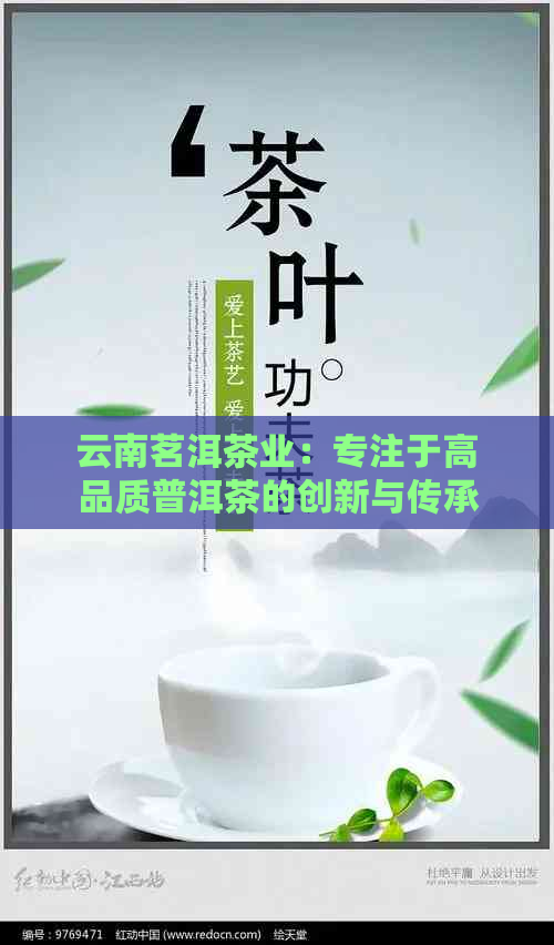 云南茗洱茶业：专注于高品质普洱茶的创新与传承