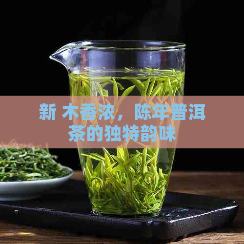 新 木香浓，陈年普洱茶的独特韵味