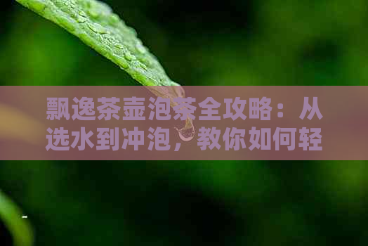 飘逸茶壶泡茶全攻略：从选水到冲泡，教你如何轻松享受茶的韵味