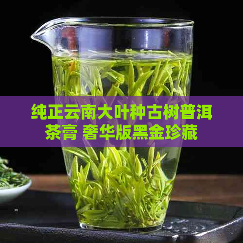 纯正云南大叶种古树普洱茶膏 奢华版黑金珍藏