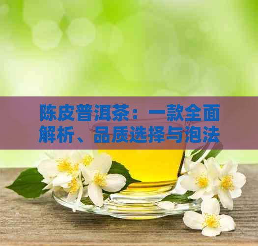 陈皮普洱茶：一款全面解析、品质选择与泡法技巧的茶叶推荐