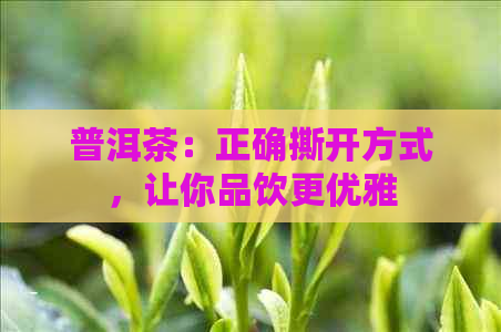 普洱茶：正确撕开方式，让你品饮更优雅