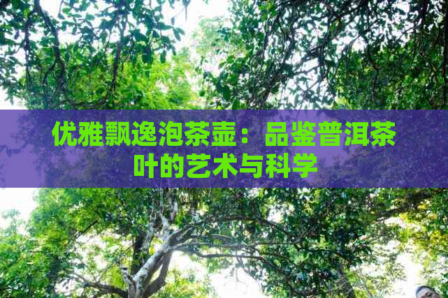 优雅飘逸泡茶壶：品鉴普洱茶叶的艺术与科学