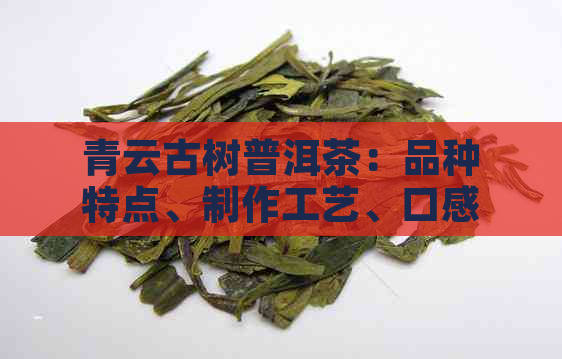 青云古树普洱茶：品种特点、制作工艺、口感品鉴与购买指南，一篇全面解答