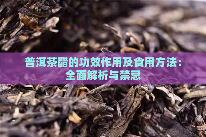 普洱茶醋的功效作用及食用方法：全面解析与禁忌