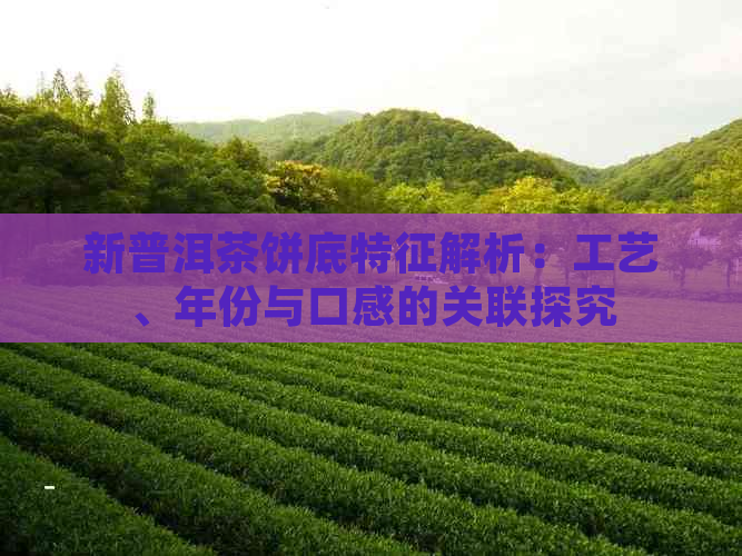 新普洱茶饼底特征解析：工艺、年份与口感的关联探究