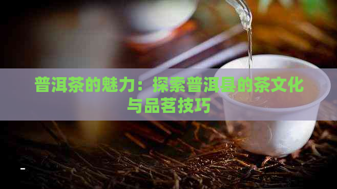 普洱茶的魅力：探索普洱县的茶文化与品茗技巧