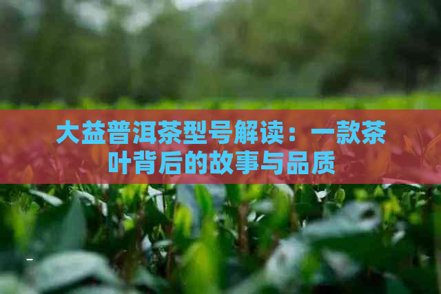 大益普洱茶型号解读：一款茶叶背后的故事与品质