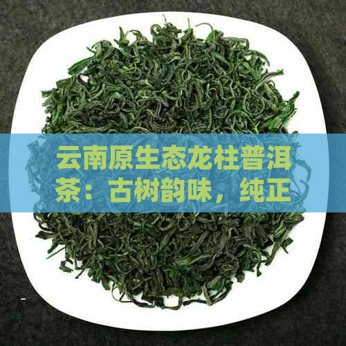 云南原生态龙柱普洱茶：古树韵味，纯正品质